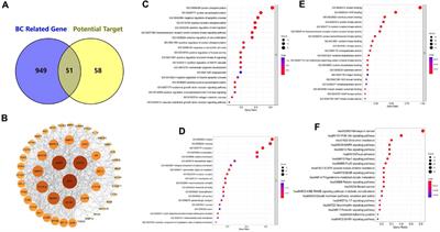 Two-carbon tethered artemisinin–isatin hybrids: design, synthesis, anti-breast cancer potential, and in silico study